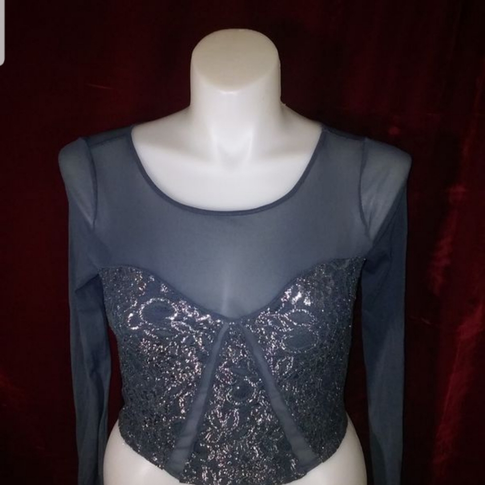 Sheer Blouse - image 1